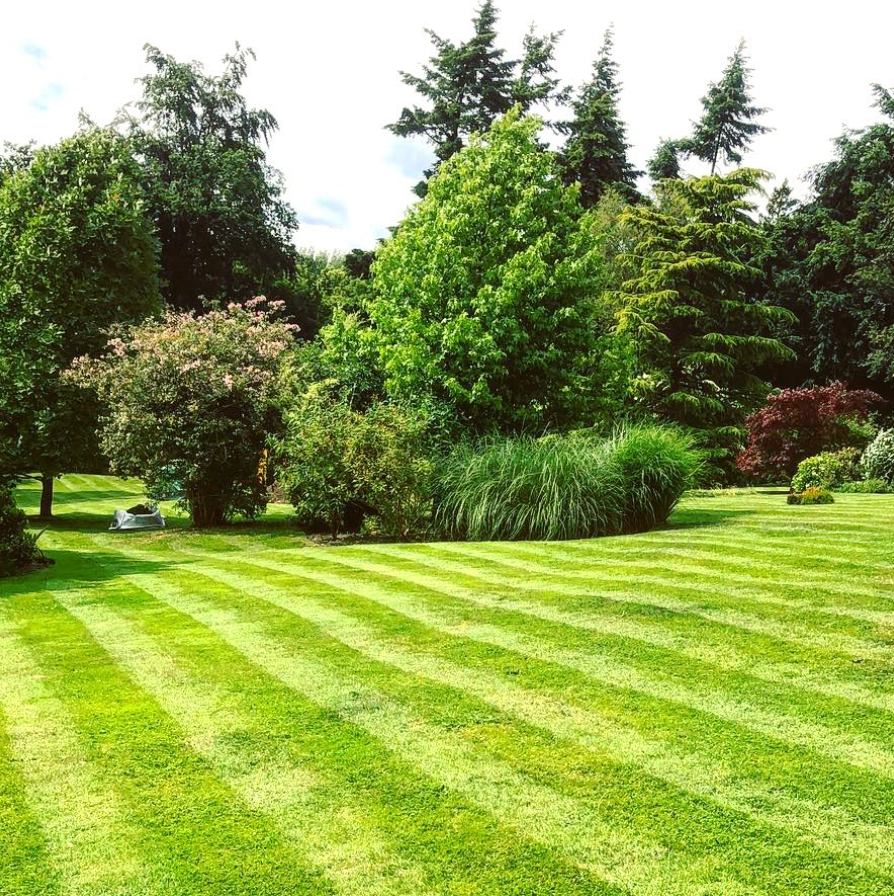 Gardening Services In Liss, One of the many lawns completed from our garden services.