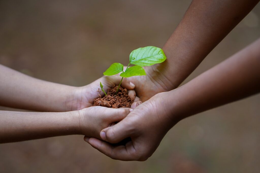 free quote, hands, soil, plant-5618240.jpg