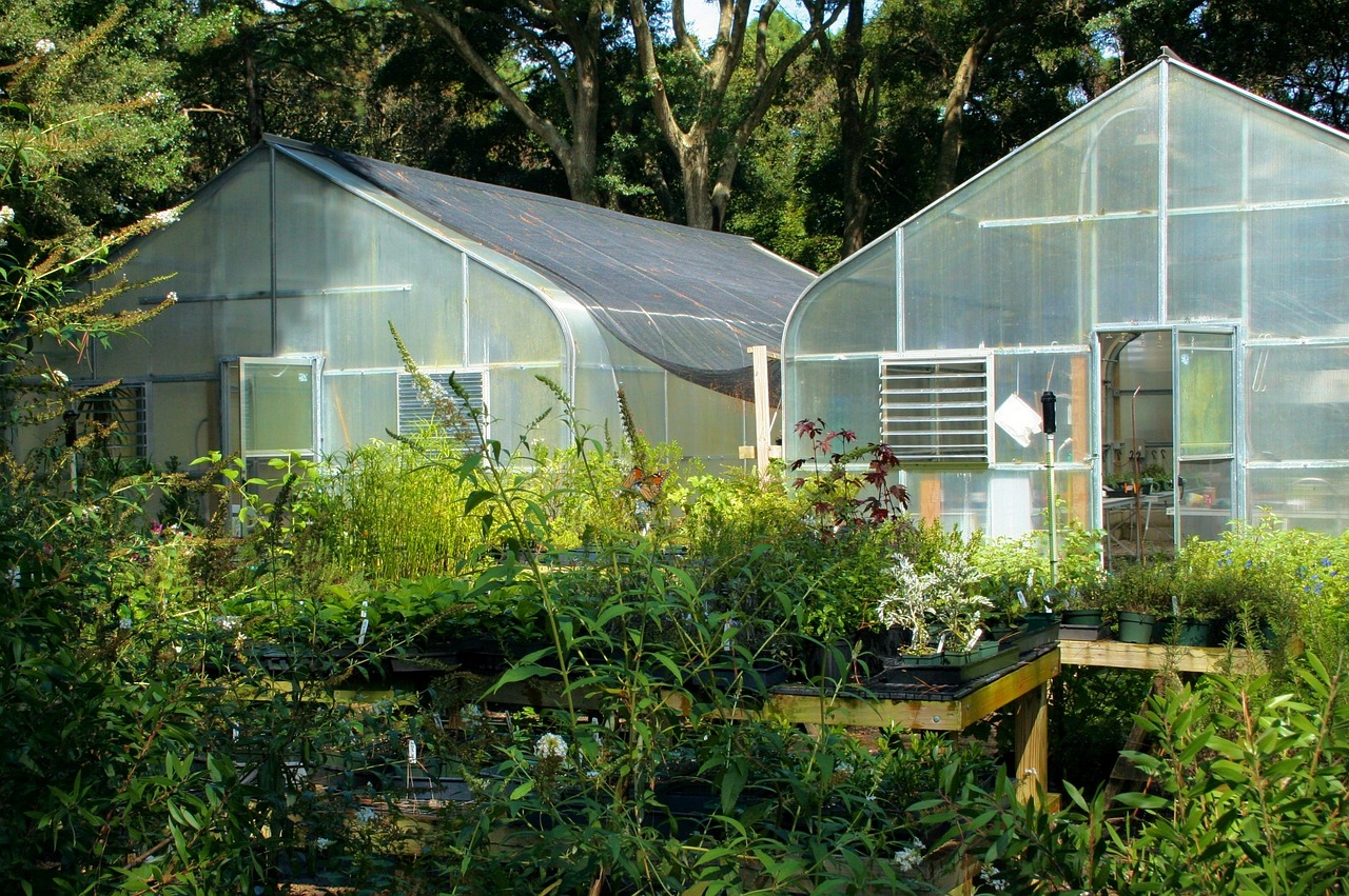 Gardening Blog ,Ways To Kill Weeds, greenhouse, glass, buildings-60830.jpg